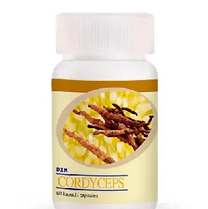 Cordyceps Sinensis